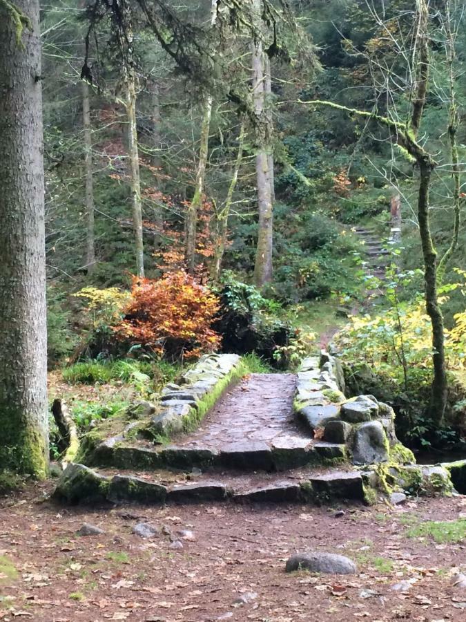 L'Ideal Gerardmer Exterior photo
