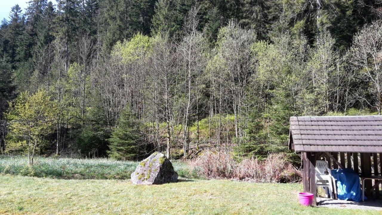 L'Ideal Gerardmer Exterior photo